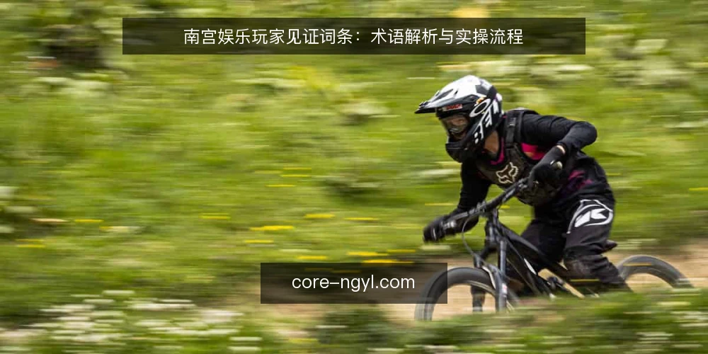南宫娱乐玩家见证词条：术语解析与实操流程 — 界定见证词条范围 配图