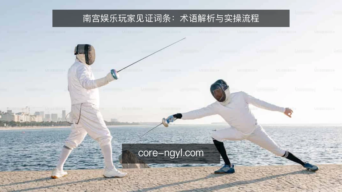 南宫娱乐玩家见证词条：术语解析与实操流程